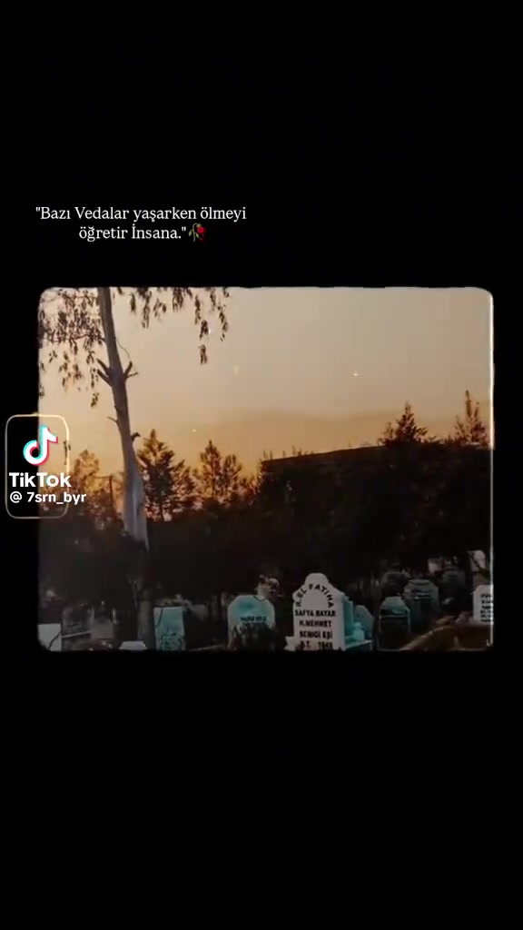 @Gönül Acehan