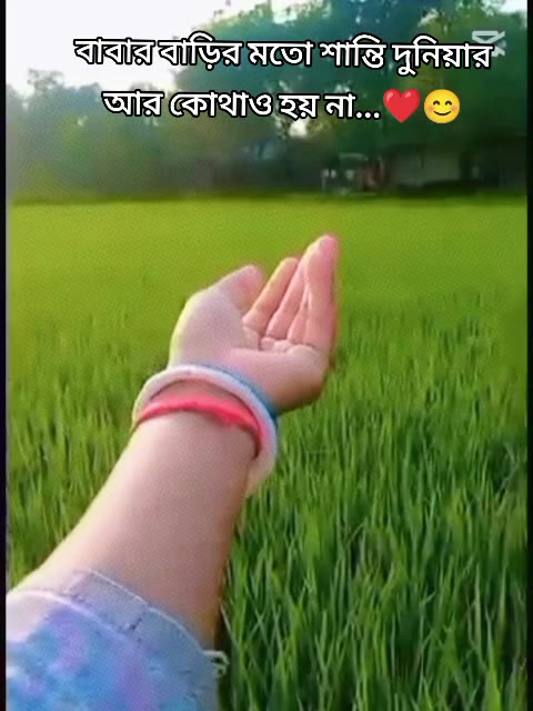 @sweety Roy