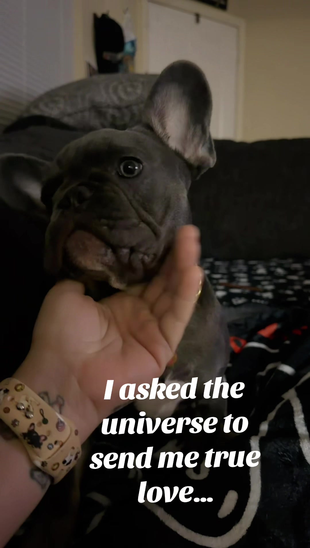 @Fireharley