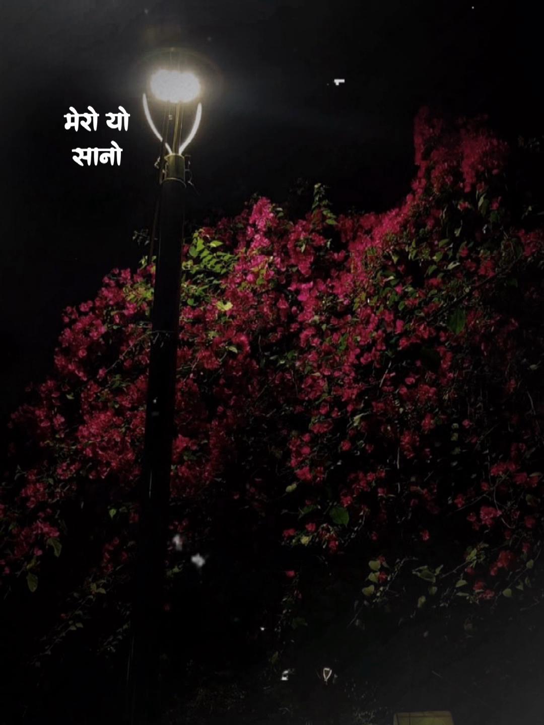 @Ms:Gurungni🫶❤️🩹