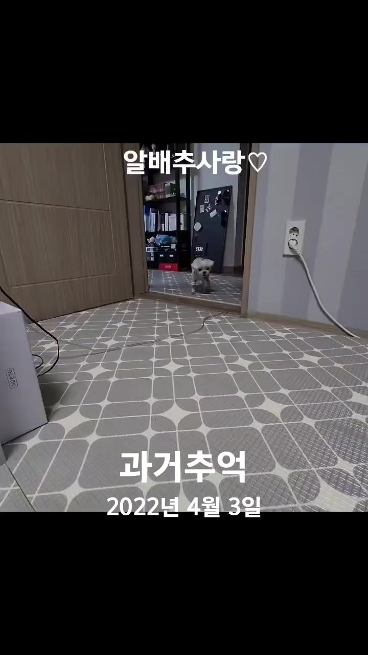 @초롱맘