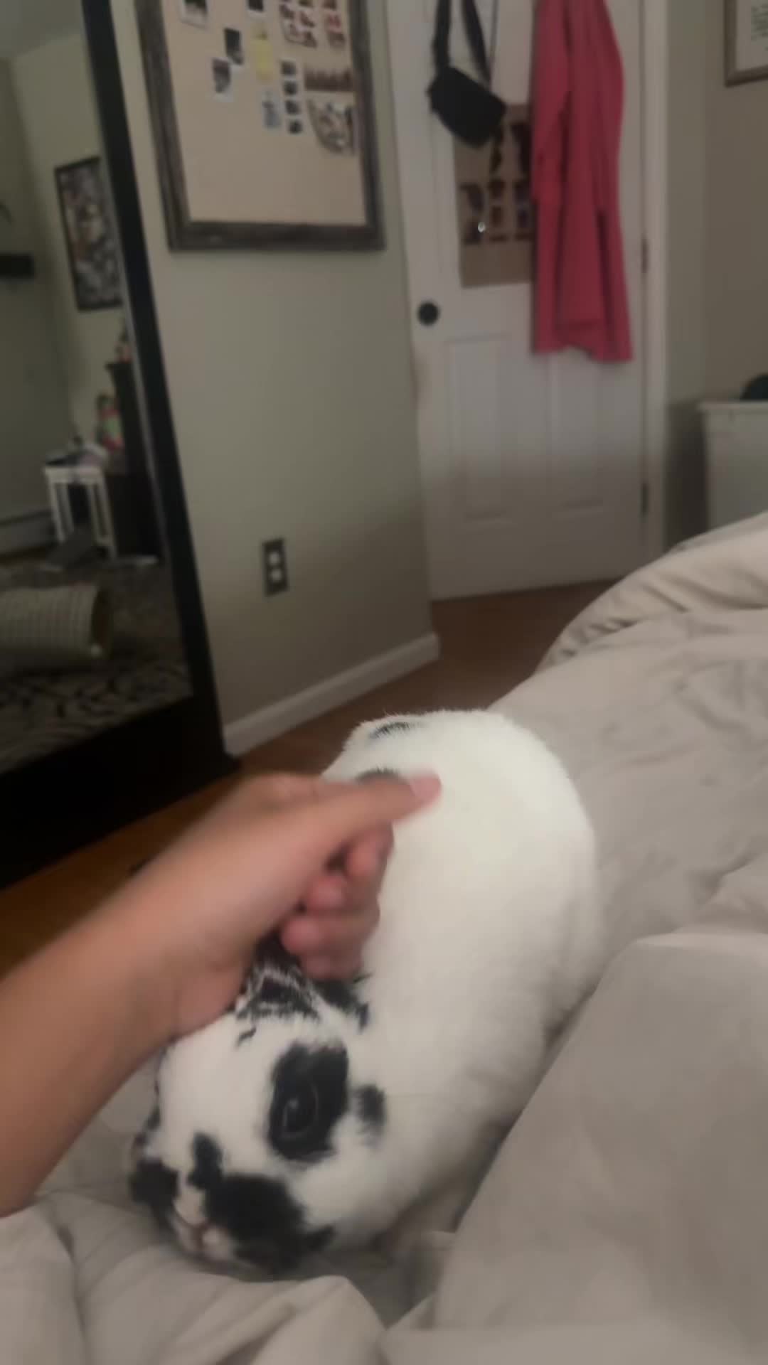@V.