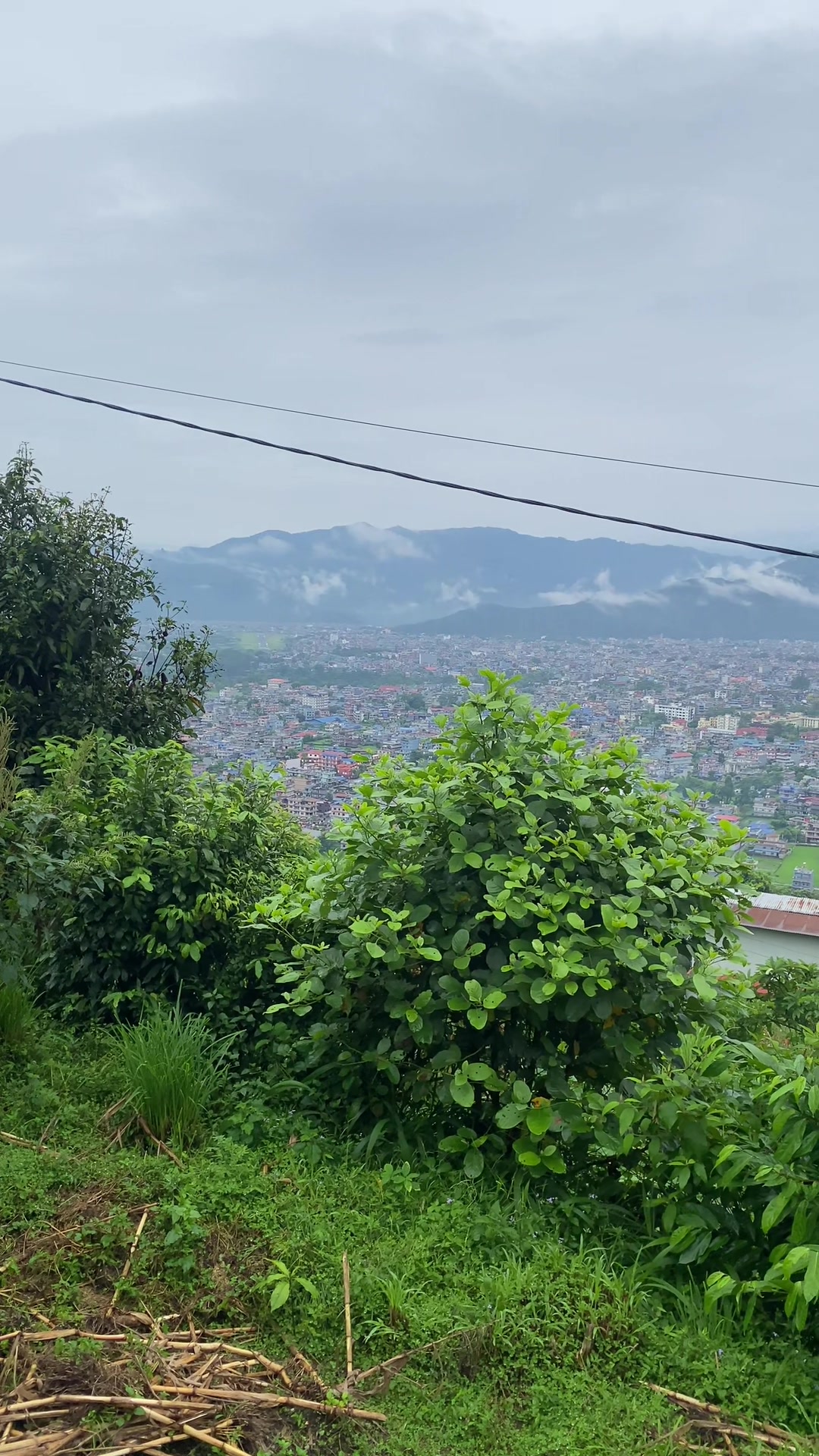 @साइलि
