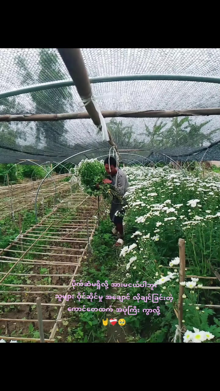 @nyein chann ðœð¥ðšð¢ð¯