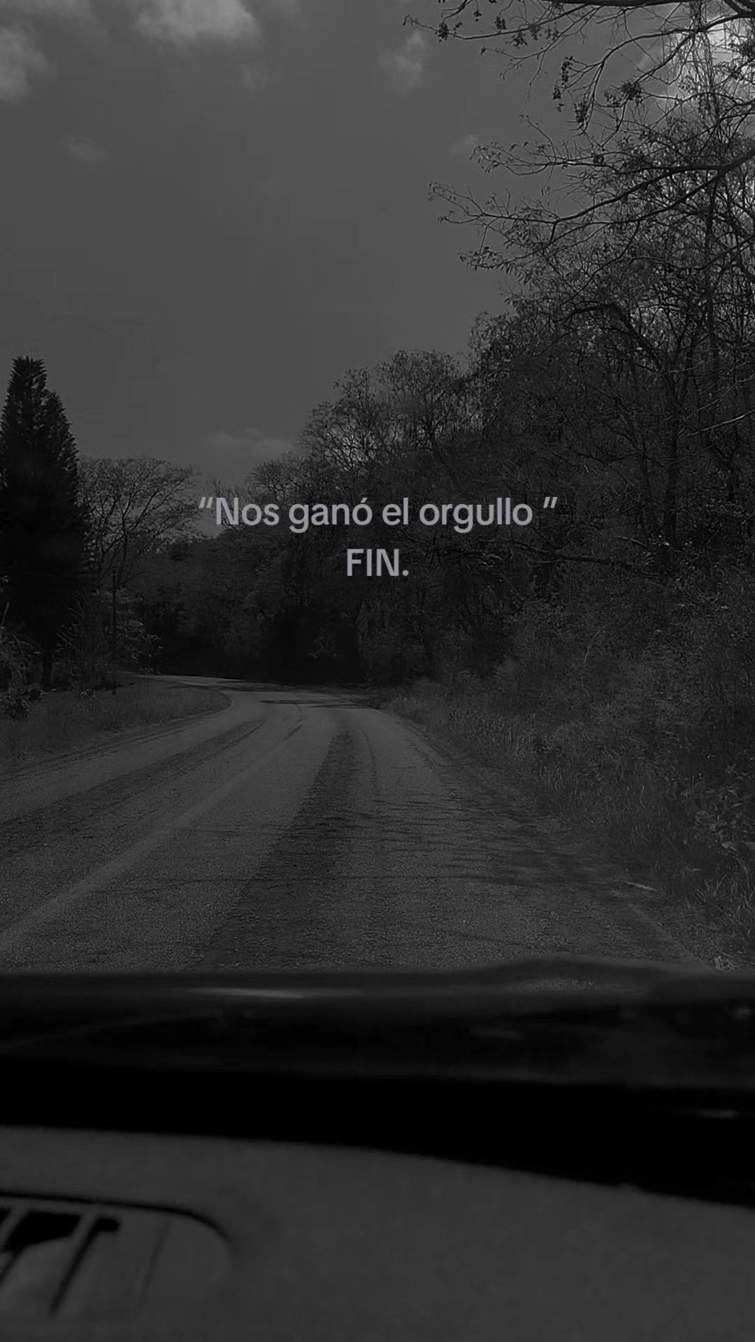 @vecky
