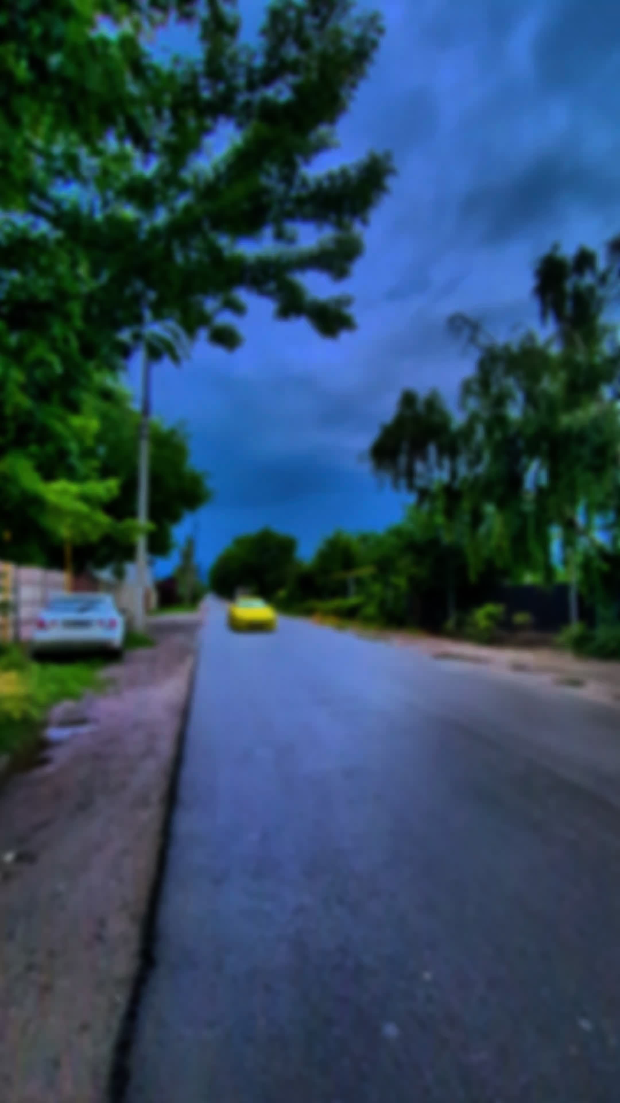 @𝓜𝓸𝓷𝓲 𝓖