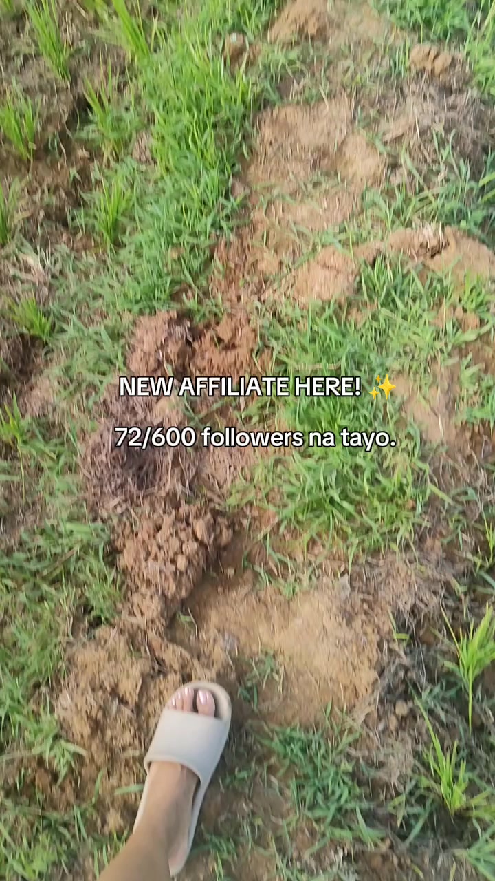 @๐๐ฒ๐ฎ๐ต๐ฒ๐ฌโจ