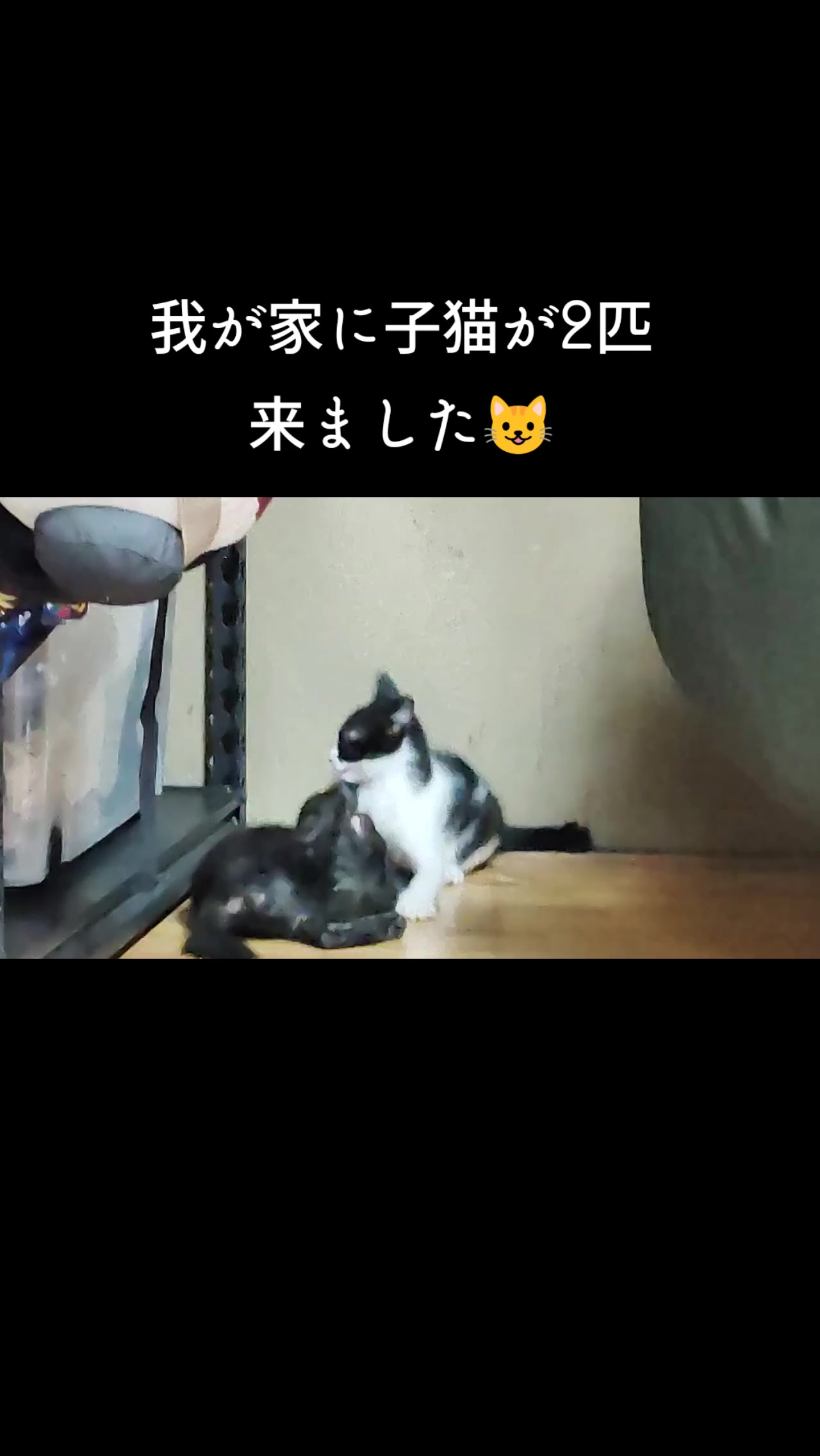 @遊喜