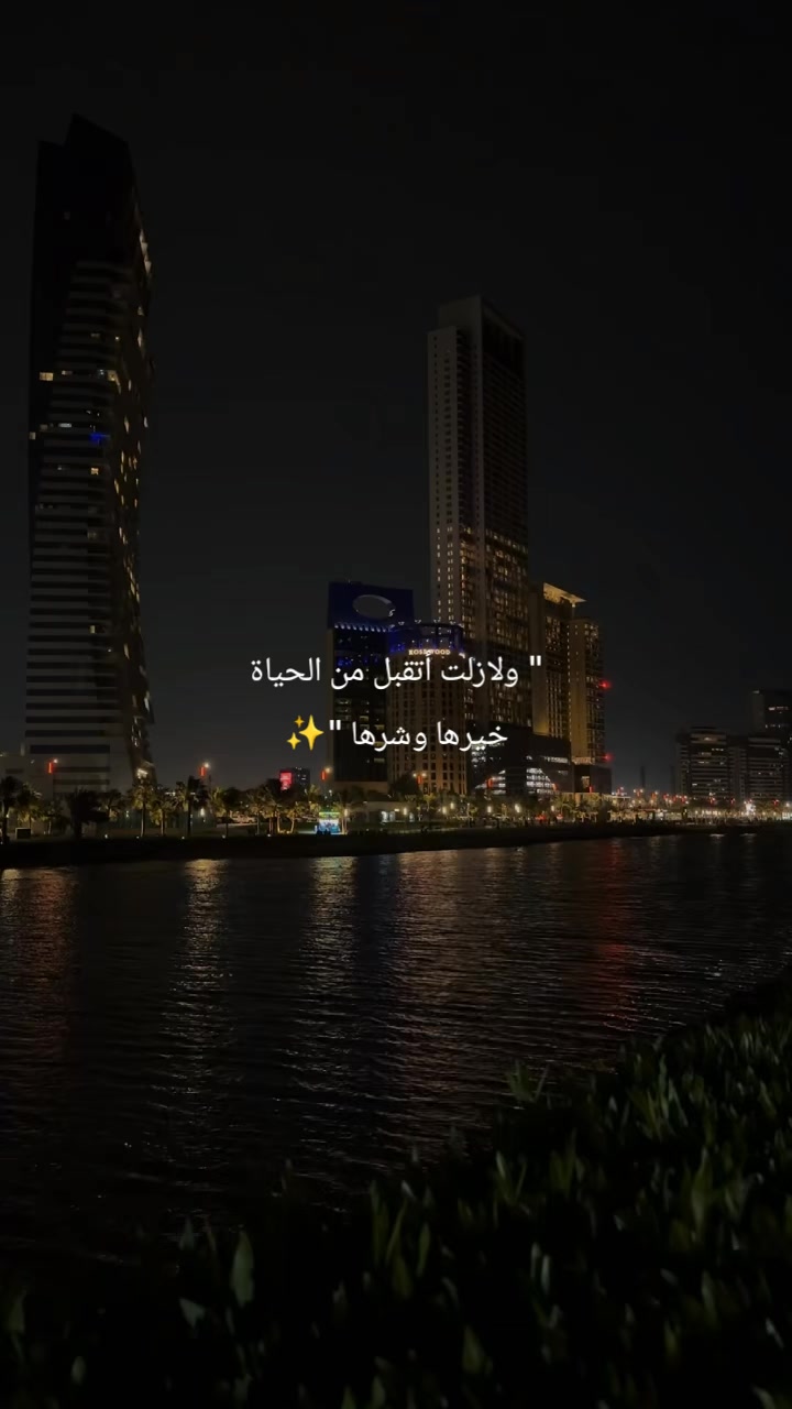 @karim hegazy