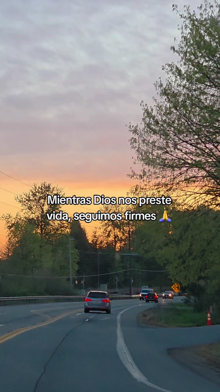 @Edwintzoc