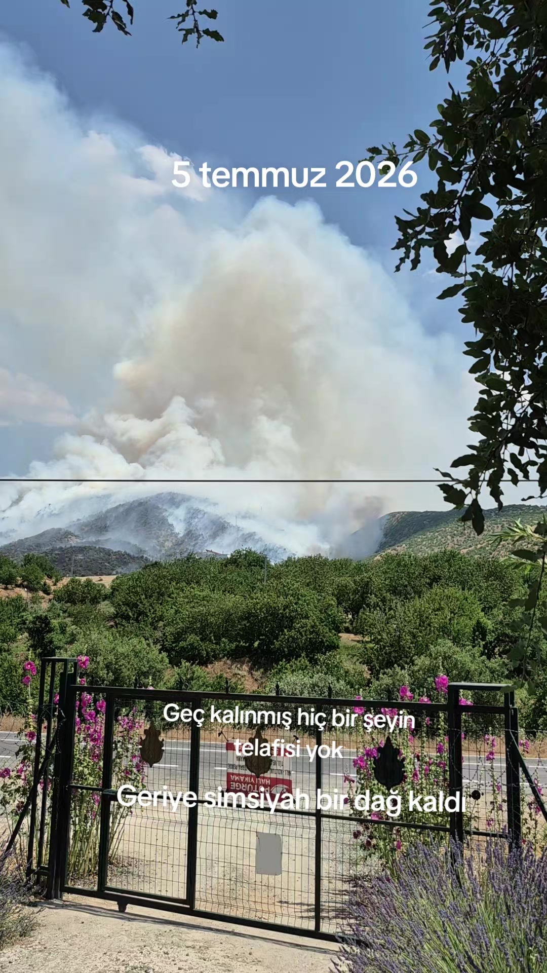@Gülten
