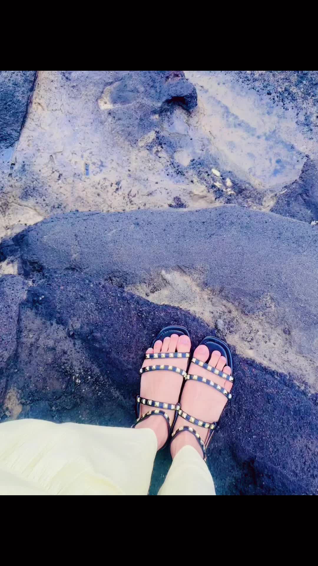 @bentofudousan1