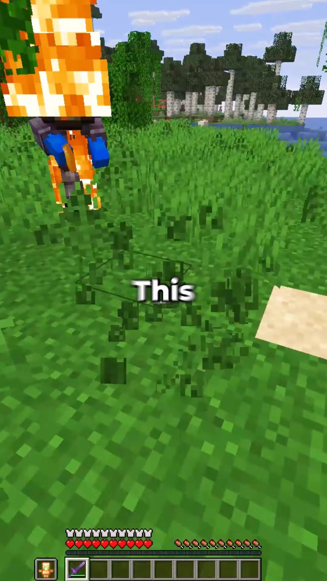 @RageMC