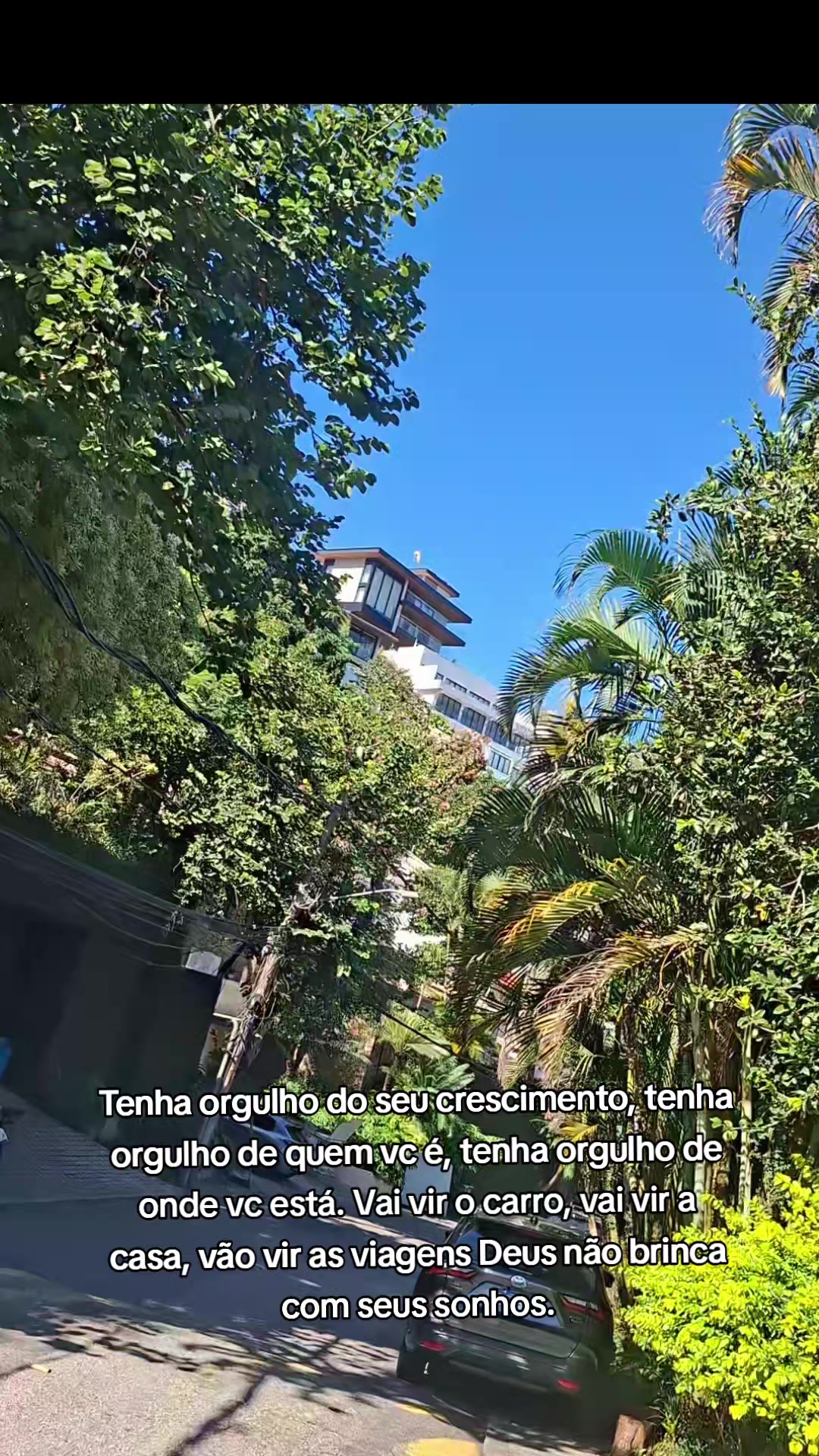 @carlasoares3435