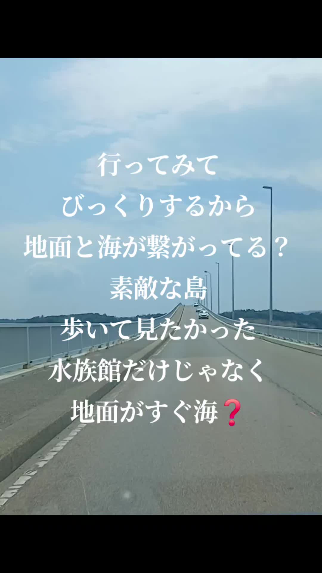 @マジョママの暇つぶし🐽🥩👑🦍