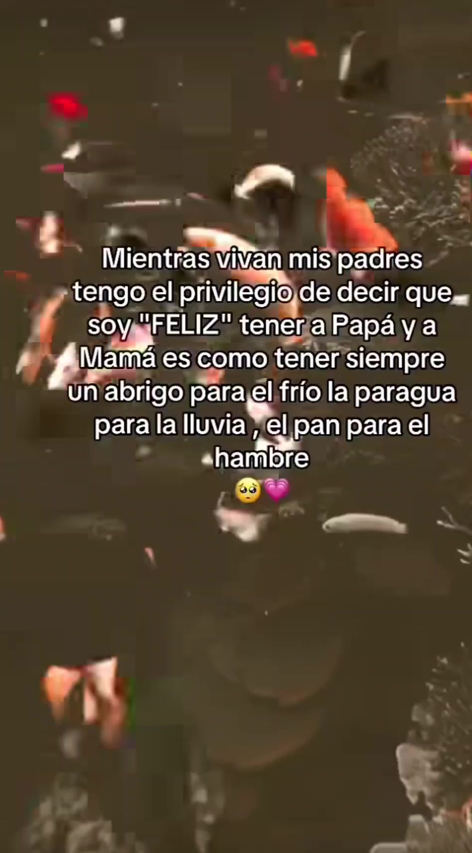 @Luna cuevas