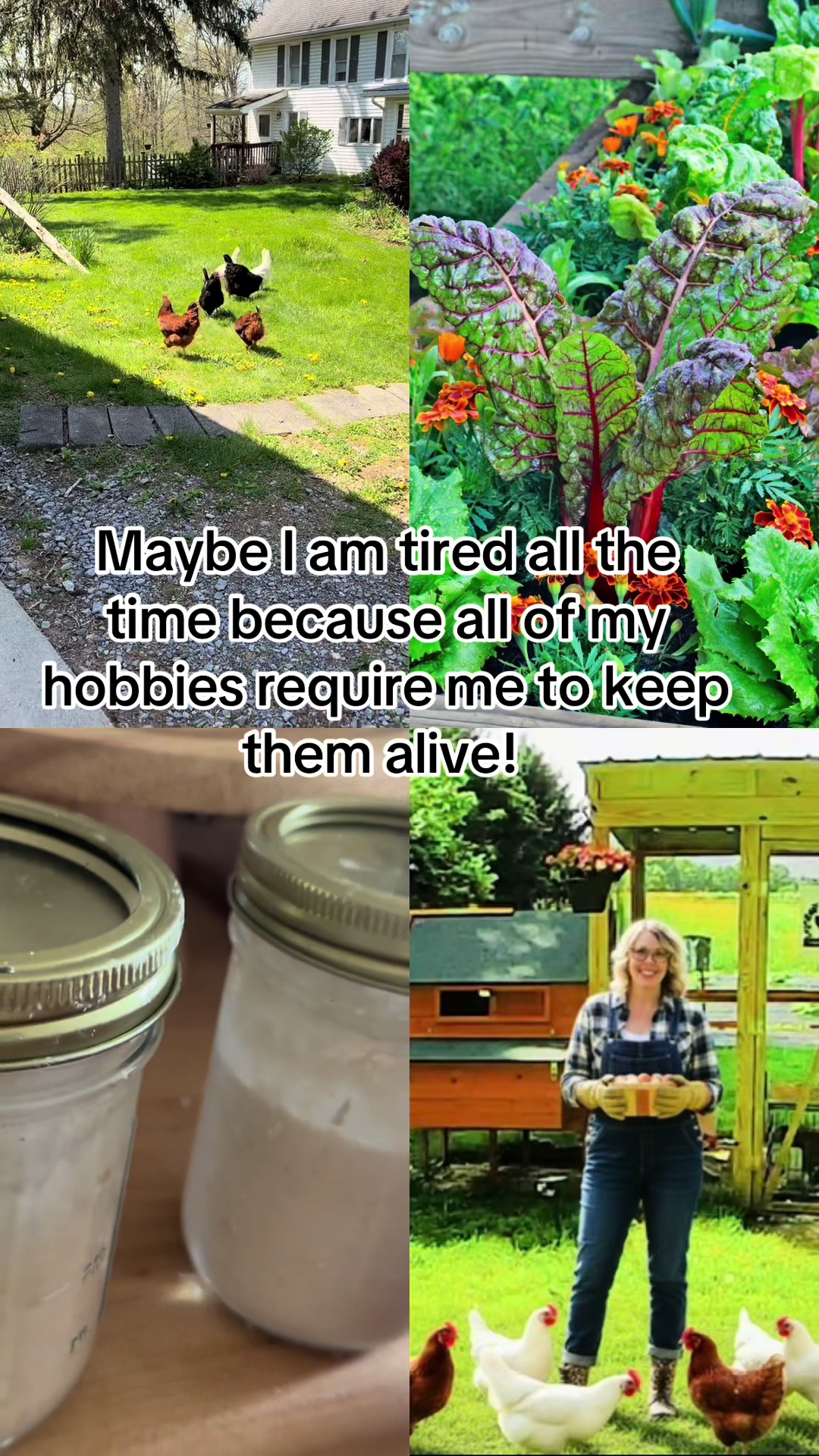 @Resistance Homesteaders