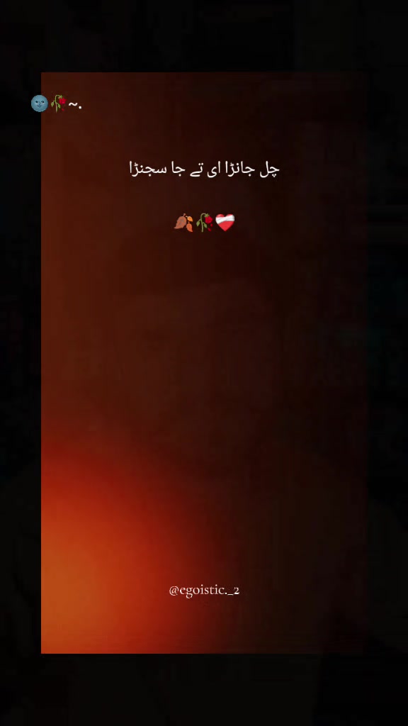 @Salman blouch786👉 Raja brand