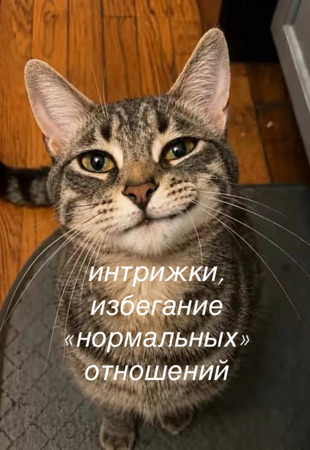 @мамин хep