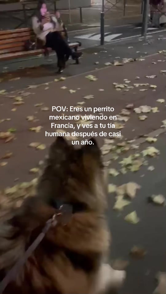 @Ale V.