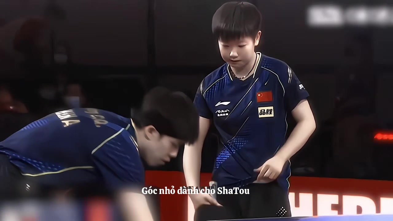 @Acc n&agrave;y chỉ c&oacute; ShaTou🦁🦈❤️