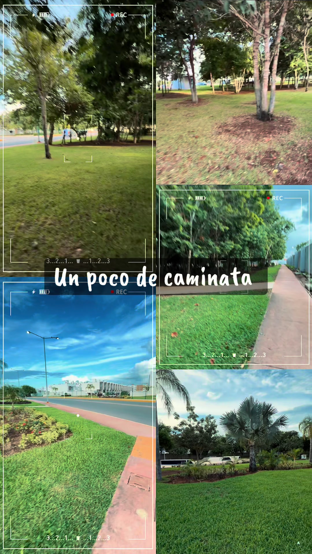 @Chris Cano BR