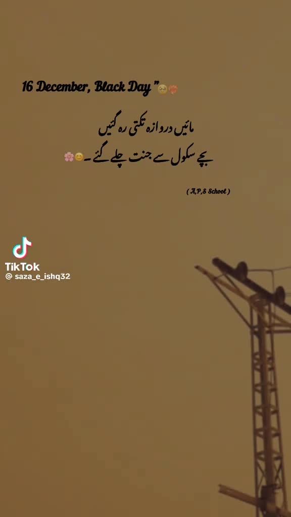 @Dimple boy 🇵🇰🇵🇰🇵🇰