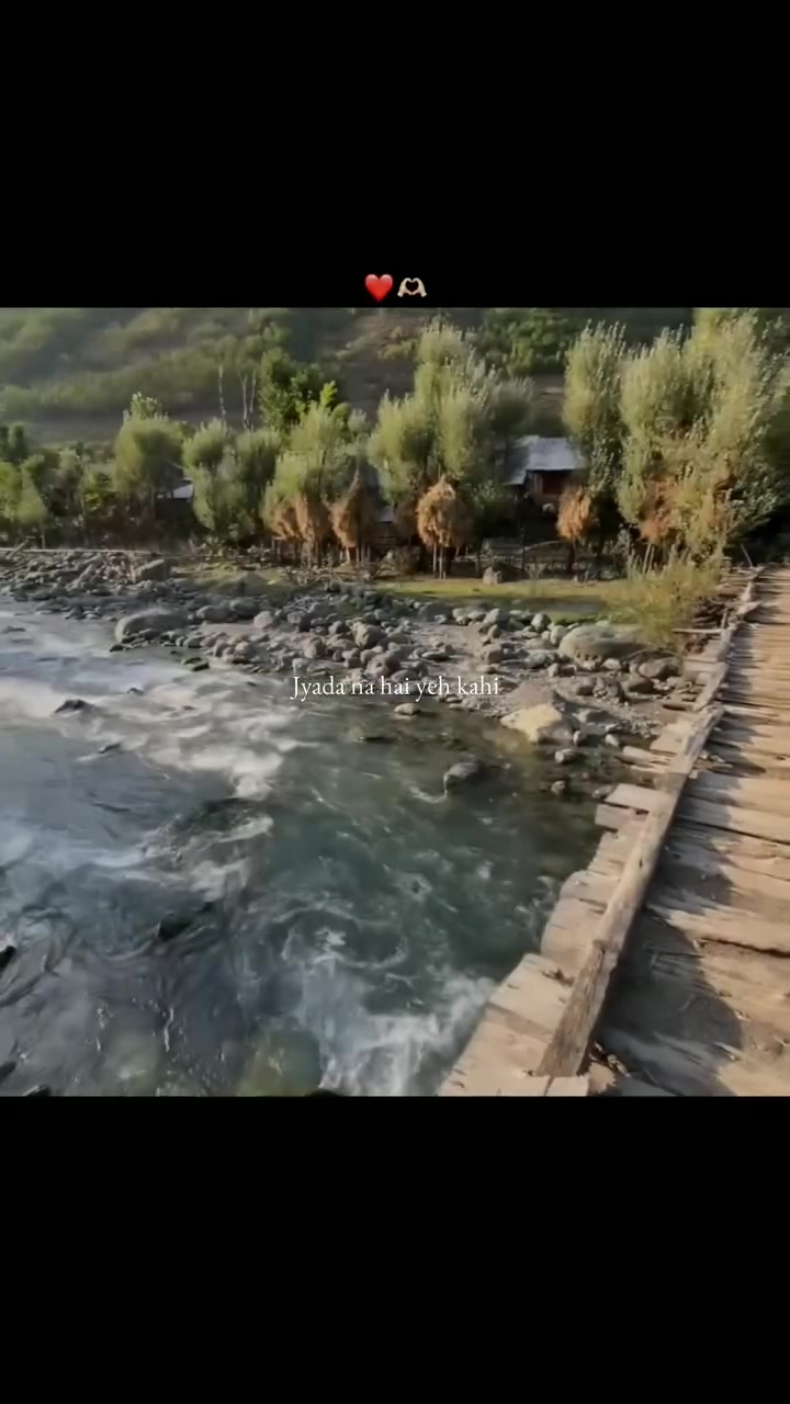 @🕊️
