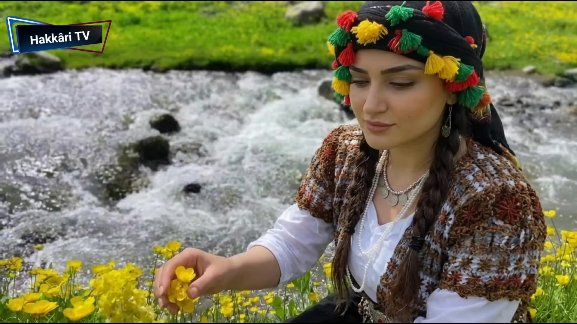 @Hakkâri TV