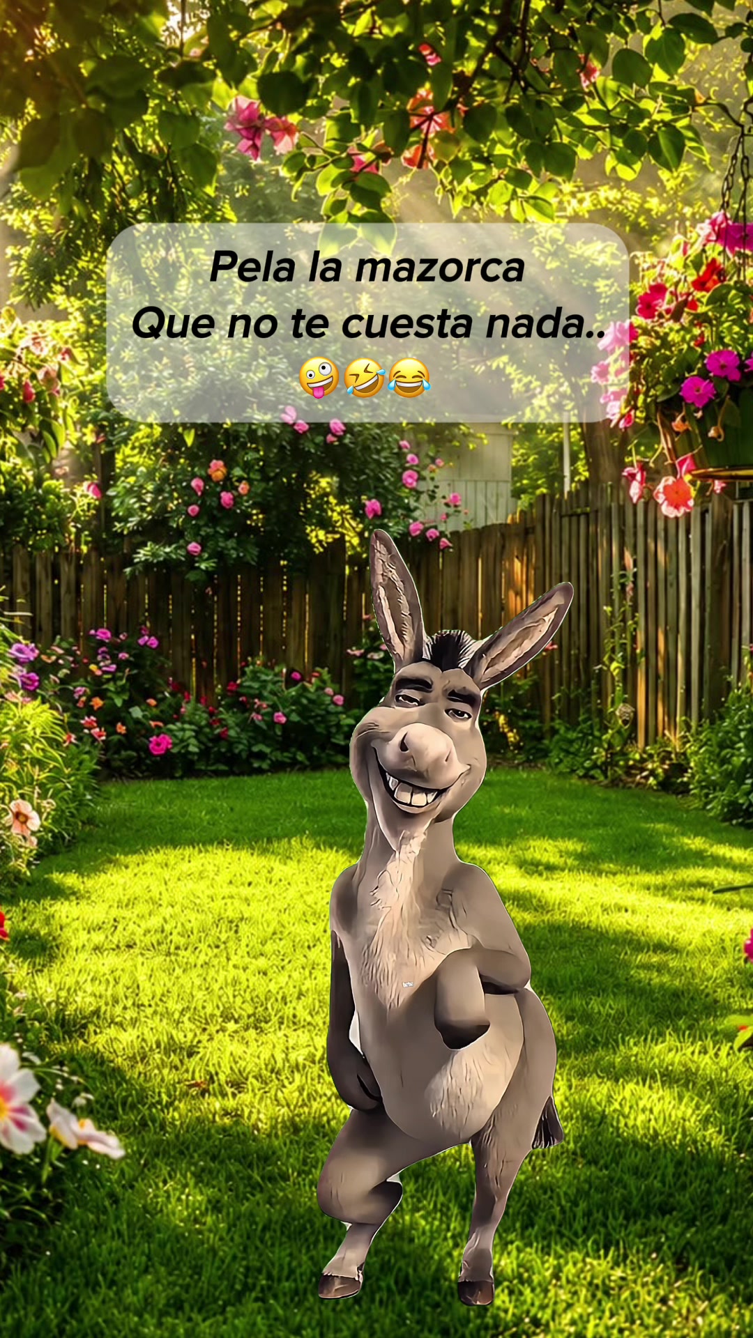 @💞 Paloma Rodriguez 🇲🇽