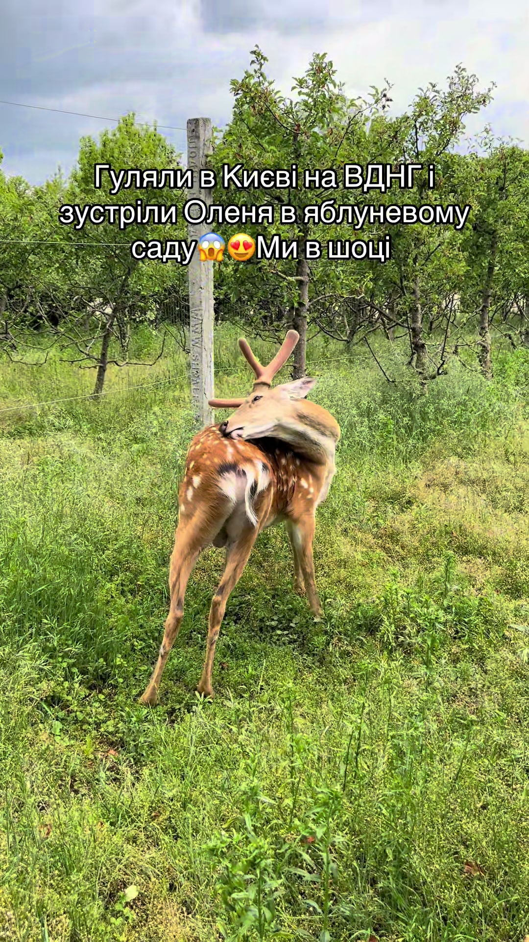 @ukrainemusicsong 🎧