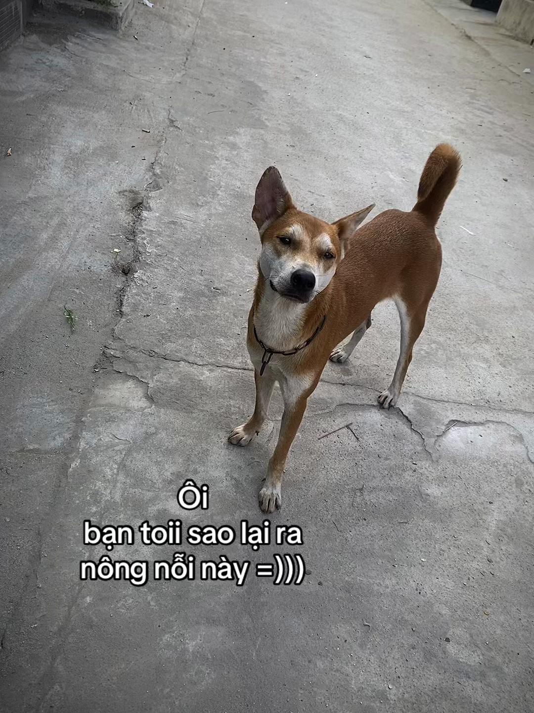 @๐๐ฬ๐ โ๐๐ฬฬ๐ฆ ๐ฌโจ
