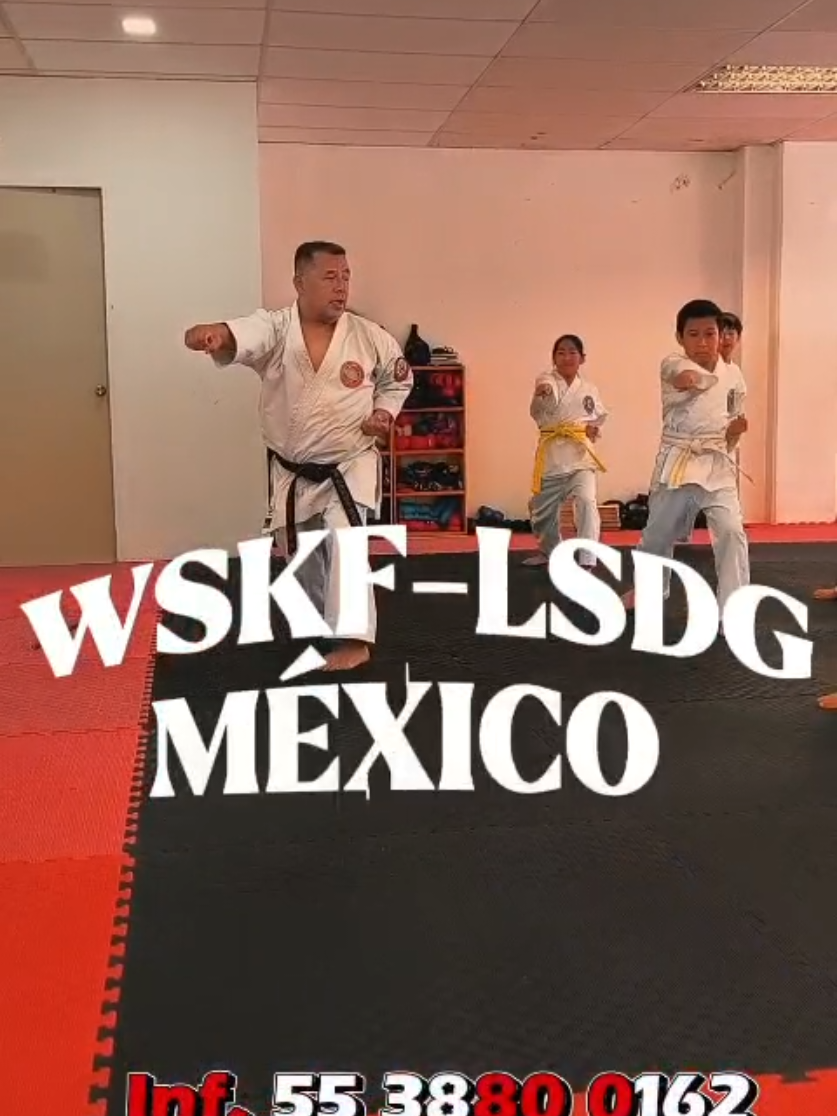 @Karate LSDG