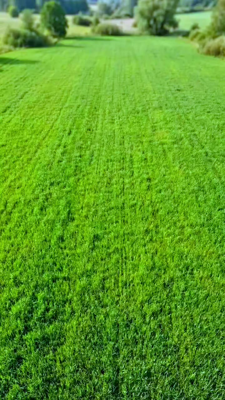 @محمد الياس علي🇸🇦