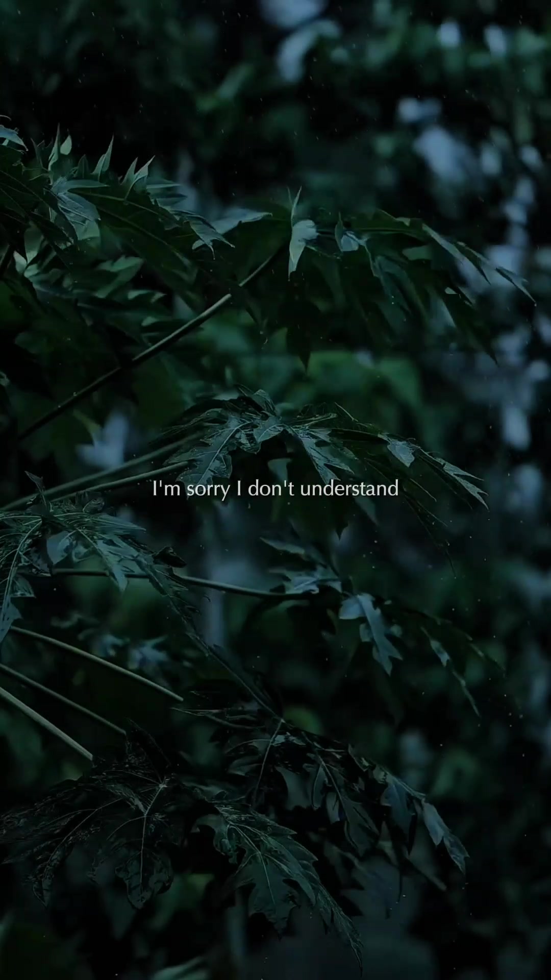@Lofi
