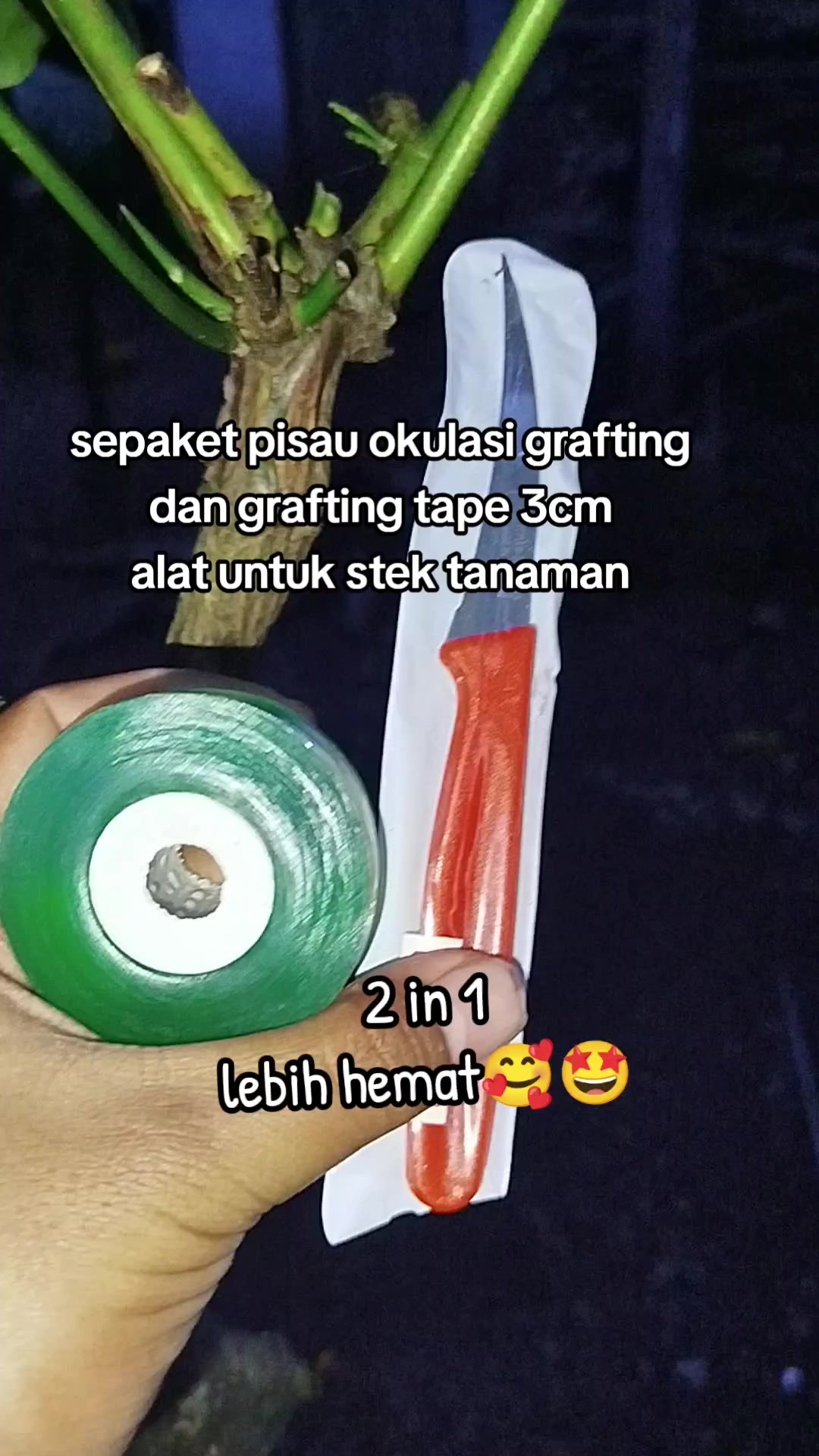 @Yu Ra Kimberly