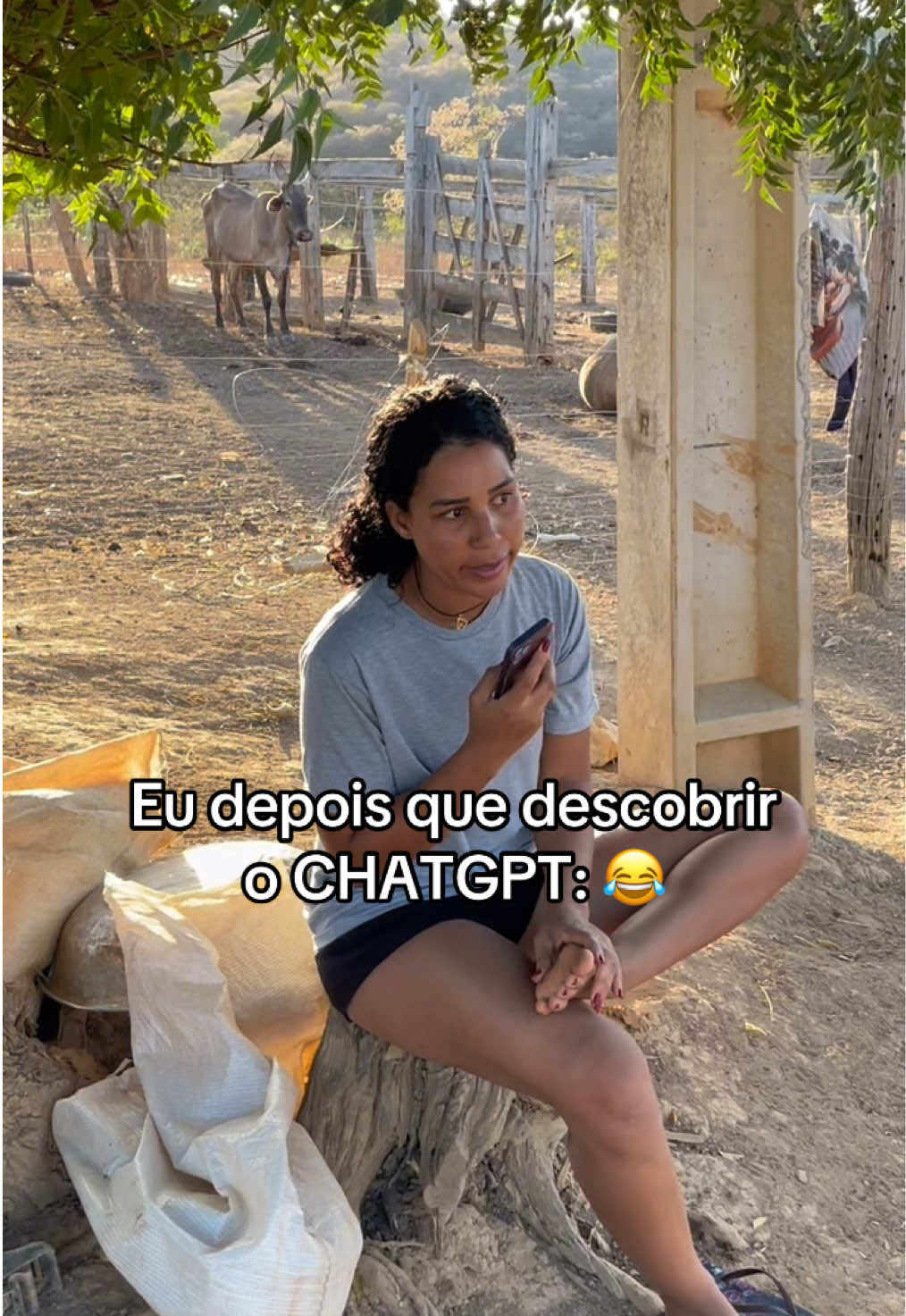 @monicadejatoba