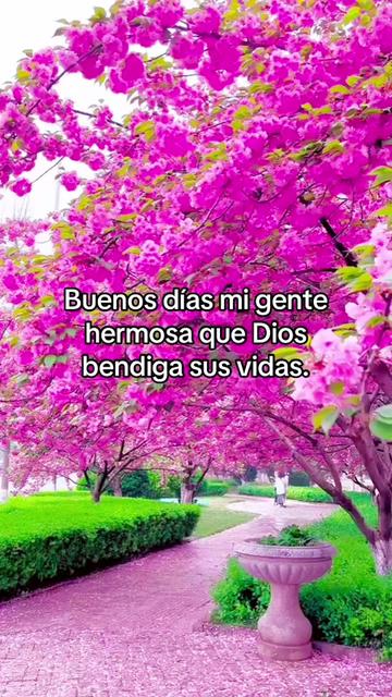 @Dee Enloe oficial