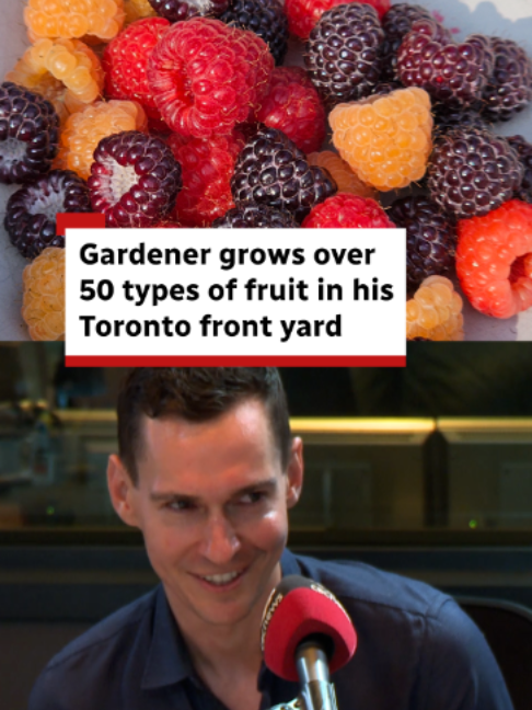 @CBC Toronto