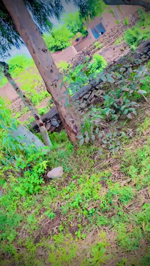 @𝗬𝗮𝗿𝗯𝗮𝘀𝗵 🫂