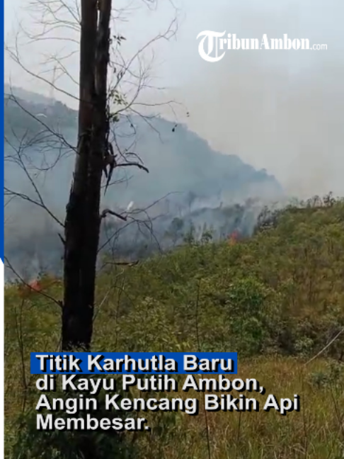 @TribunAmbon.com