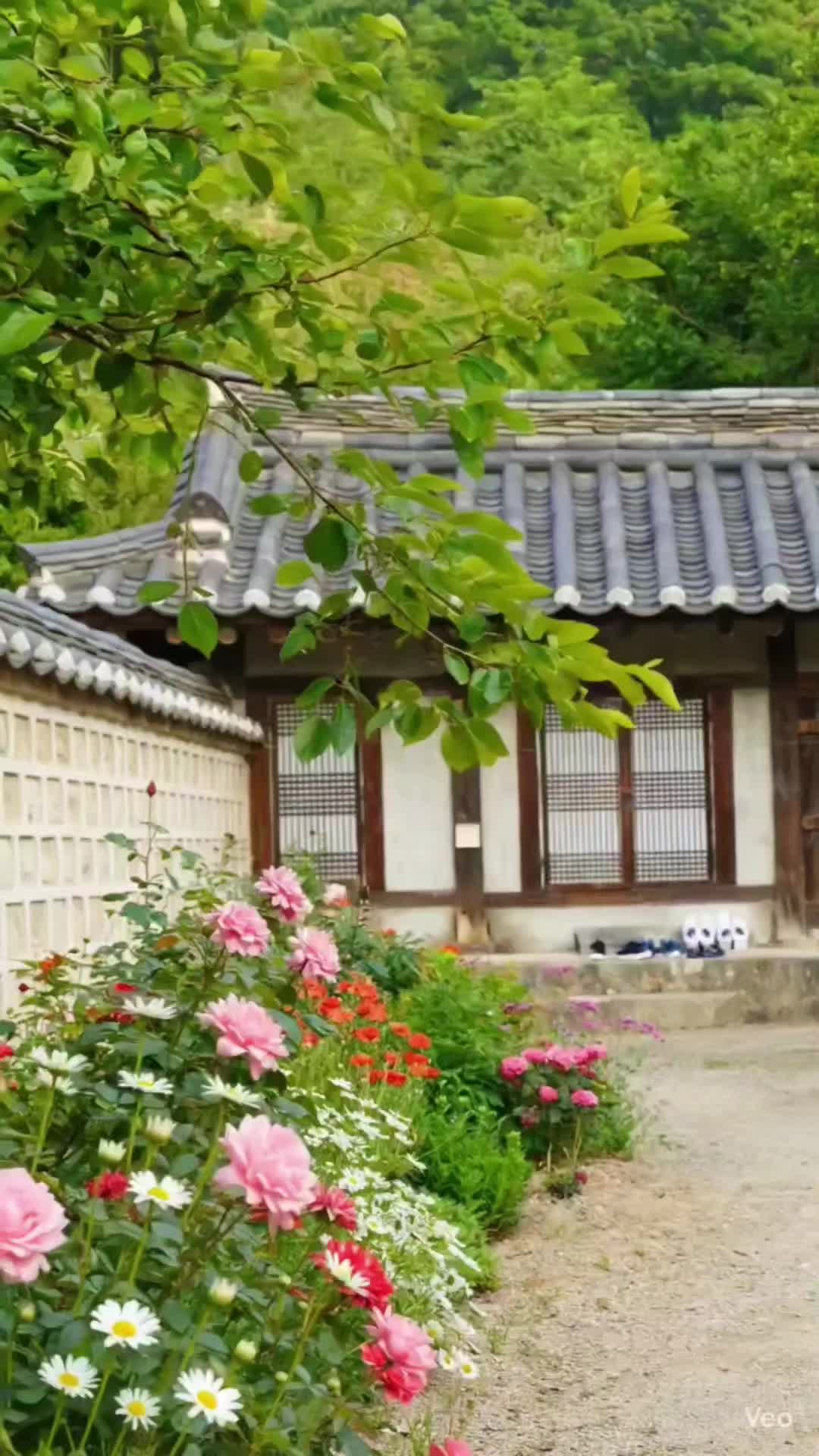 @Hyun An