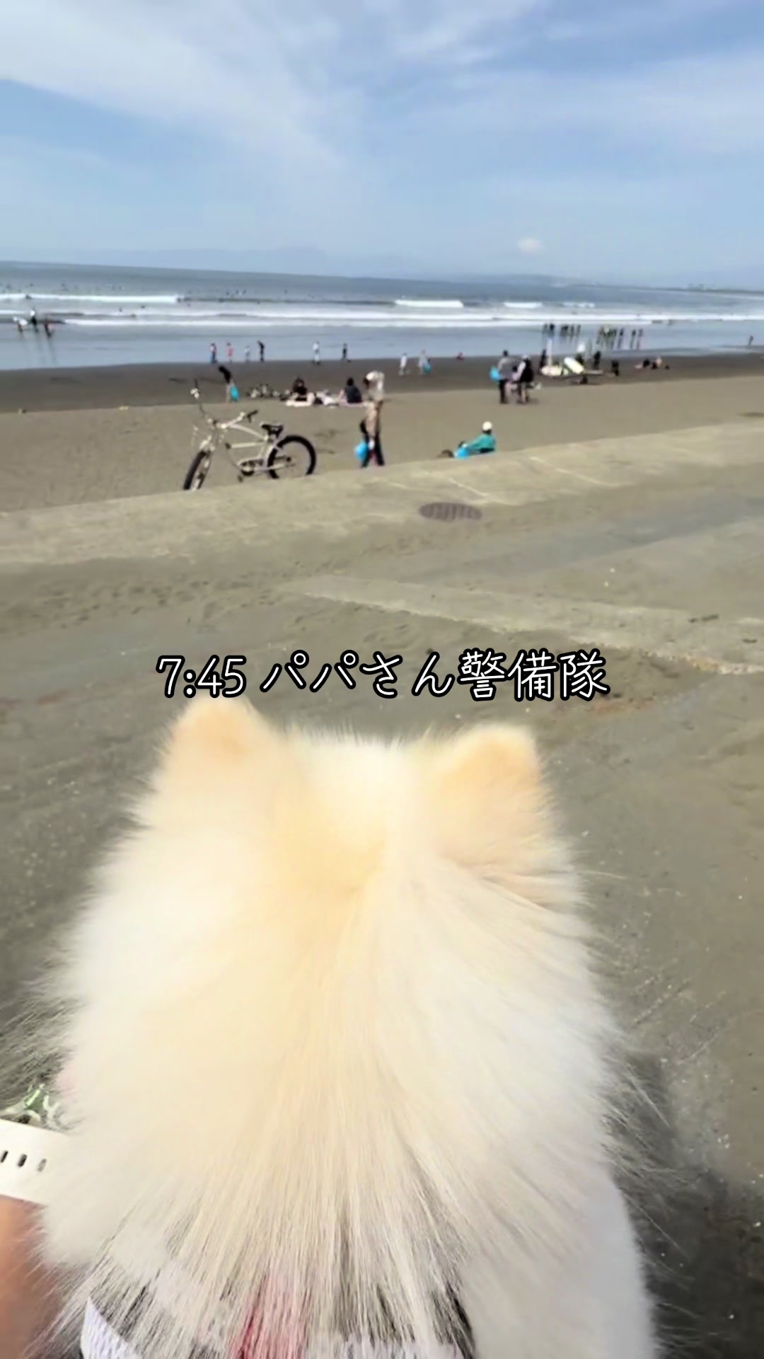 @孤独のサラリーマン5郎