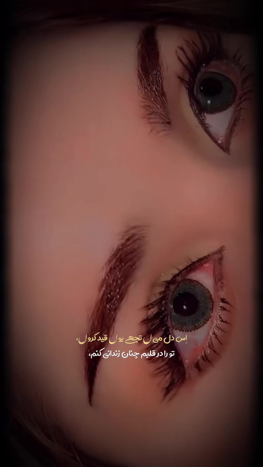 @harirhayat4