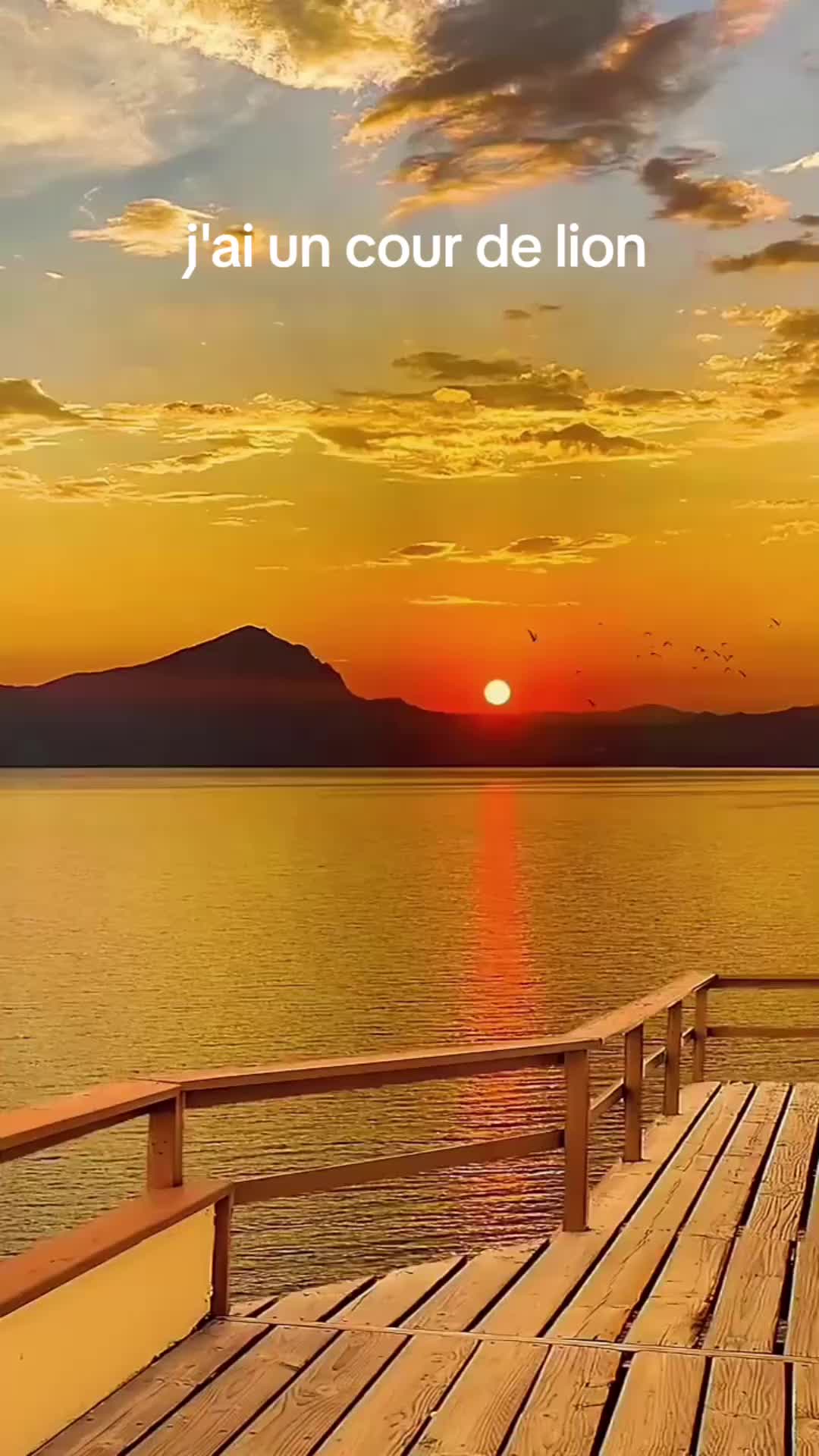 @Prince 224