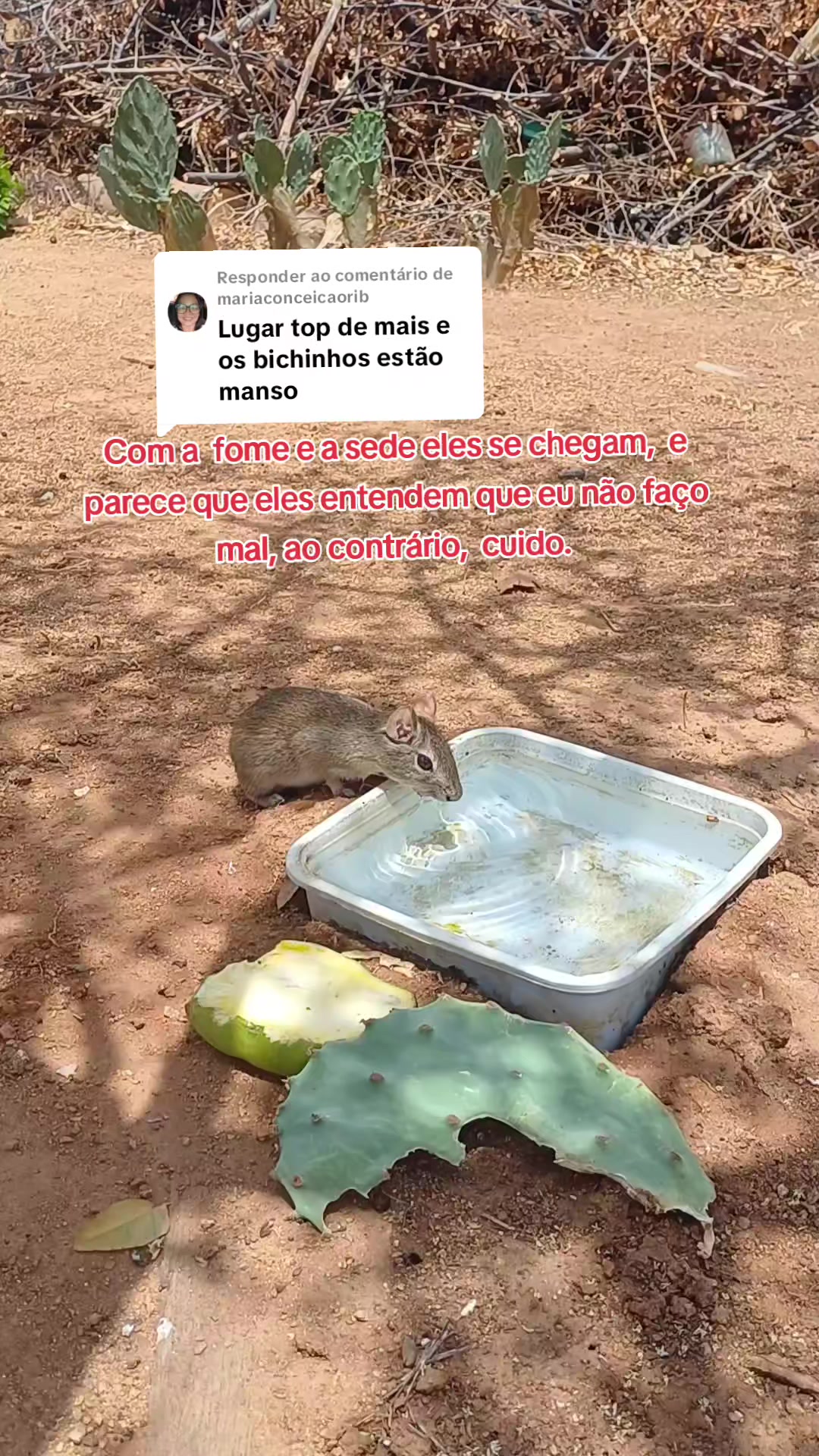 @Amante da natureza