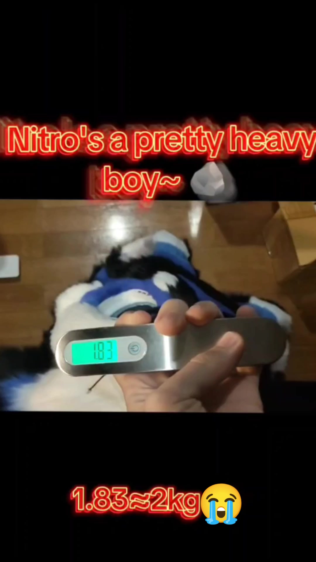 @///Nitro///