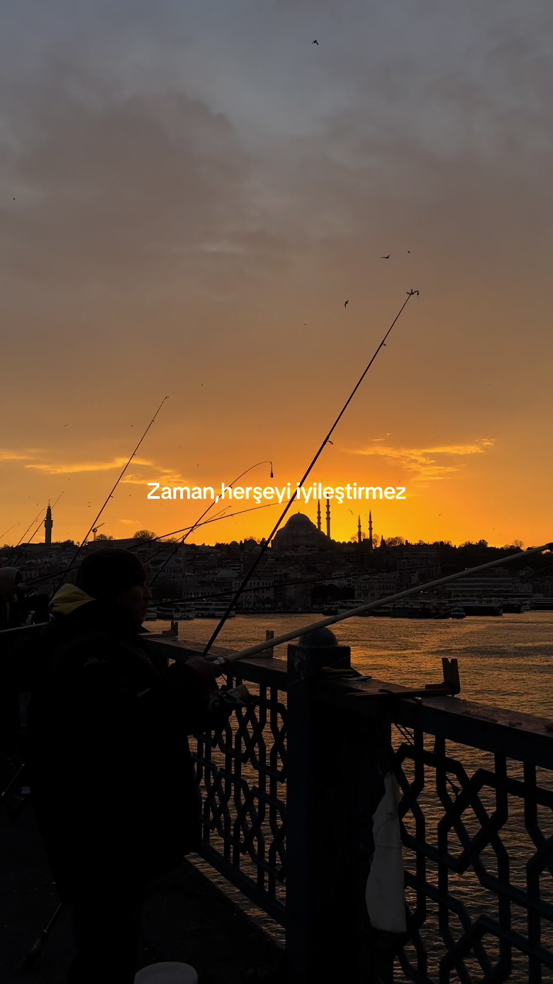 @Memucan GÜRSES