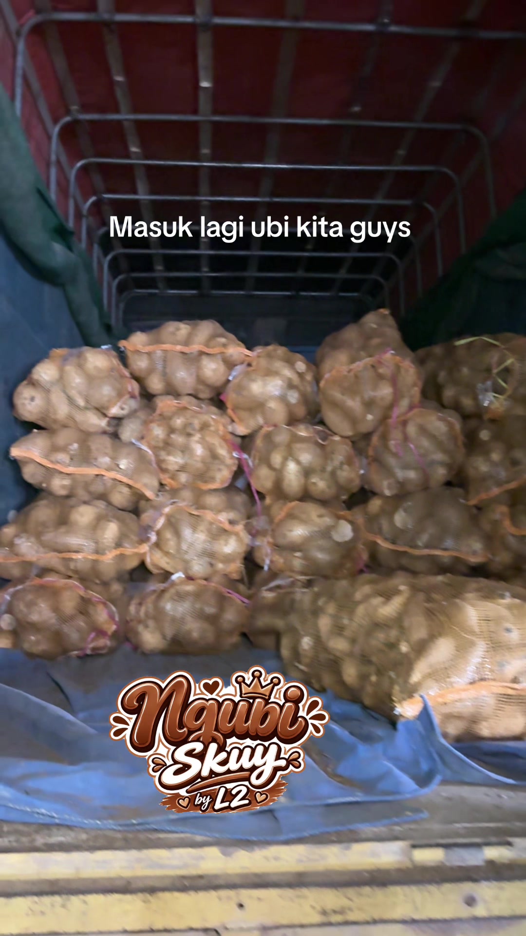 @ngubiskuy