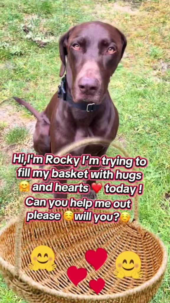 @Rocky_and_mom 🐾❤️🐶